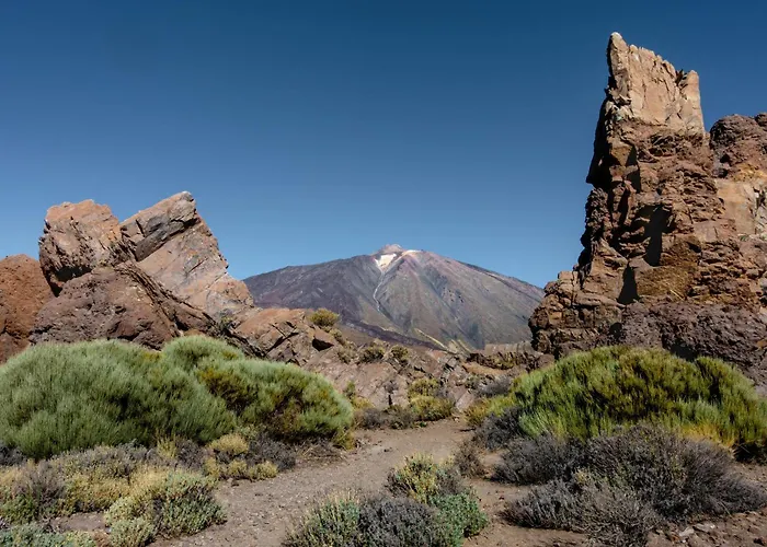 Eden Coastal Retreat アパート *