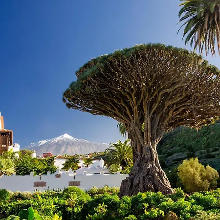 Appartement Eden Coastal Retreat Puerto de Santiago (Tenerife)