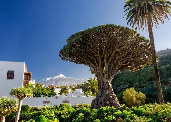 Apartamento Eden Coastal Retreat Puerto de Santiago (Tenerife)